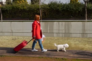 viajar con perro apoyo emocional en transporte